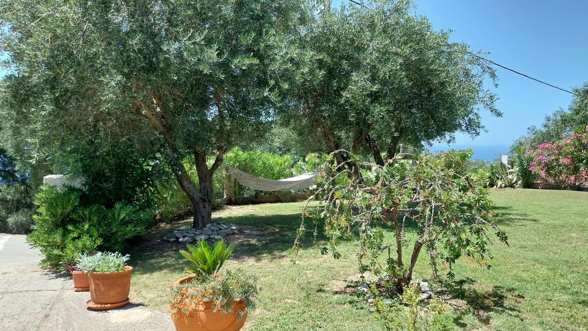 Villa Gecko, Arillas Kavvadades Exterior photo